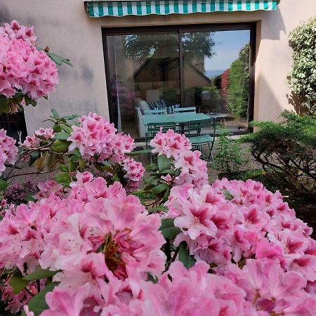 Le Denyspuech 55M2 Plein Centre Avec Jardin! Lägenhet Rodez Exteriör bild