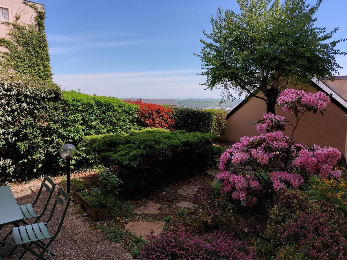 Le Denyspuech 55M2 Plein Centre Avec Jardin! Lägenhet Rodez Exteriör bild