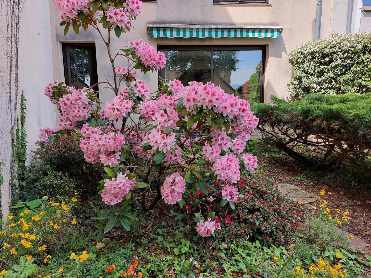 Le Denyspuech 55M2 Plein Centre Avec Jardin! Lägenhet Rodez Exteriör bild